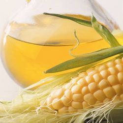 Corn Oil Manufacturer Supplier Wholesale Exporter Importer Buyer Trader Retailer in Hyderabad Andhra Pradesh India